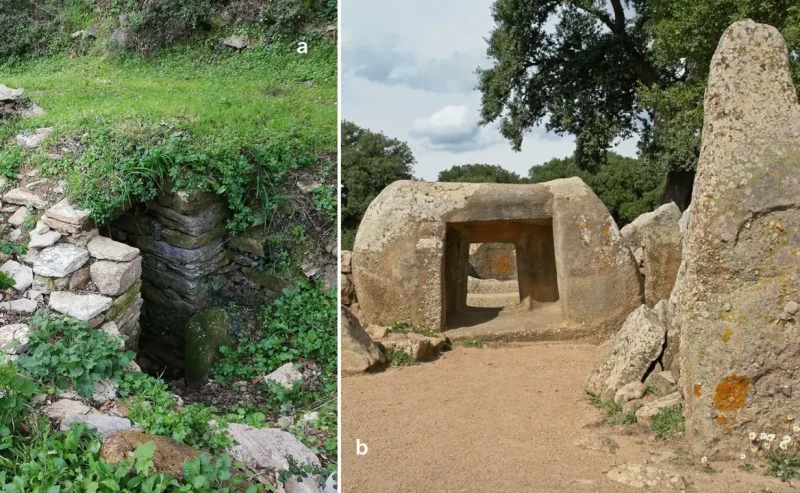 CSJ-04 Silius → Goni