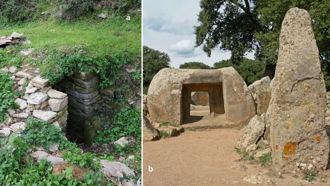 CSJ-04 Silius → Goni