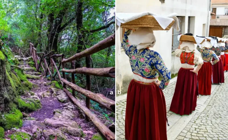 CSJ-08 Laconi → Meana Sardo