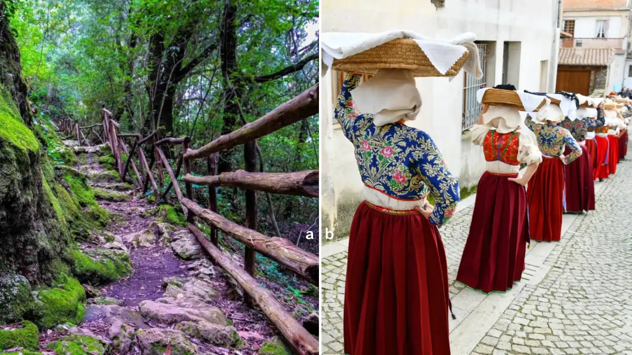 CSJ-08 Laconi → Meana Sardo