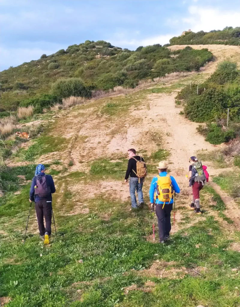 In gruppo, in cammino